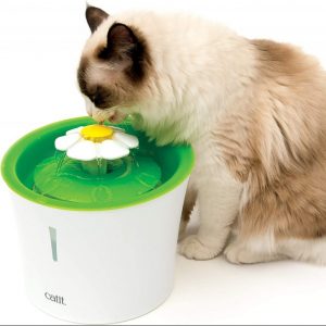 Fontaine d'eau automatique pour chat